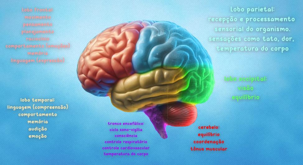 Como a neurociência explica o processo de formação e mudança de hábitos comportamentais