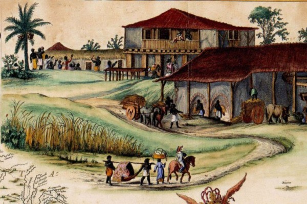 Período colonial brasileiro e suas características históricas