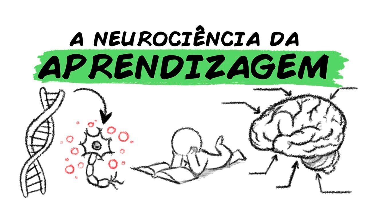 Como o cérebro processa e retém informações durante o aprendizado