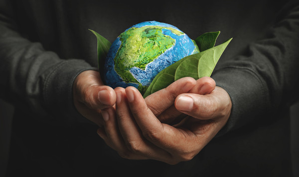 Práticas sustentáveis para preservação do meio ambiente