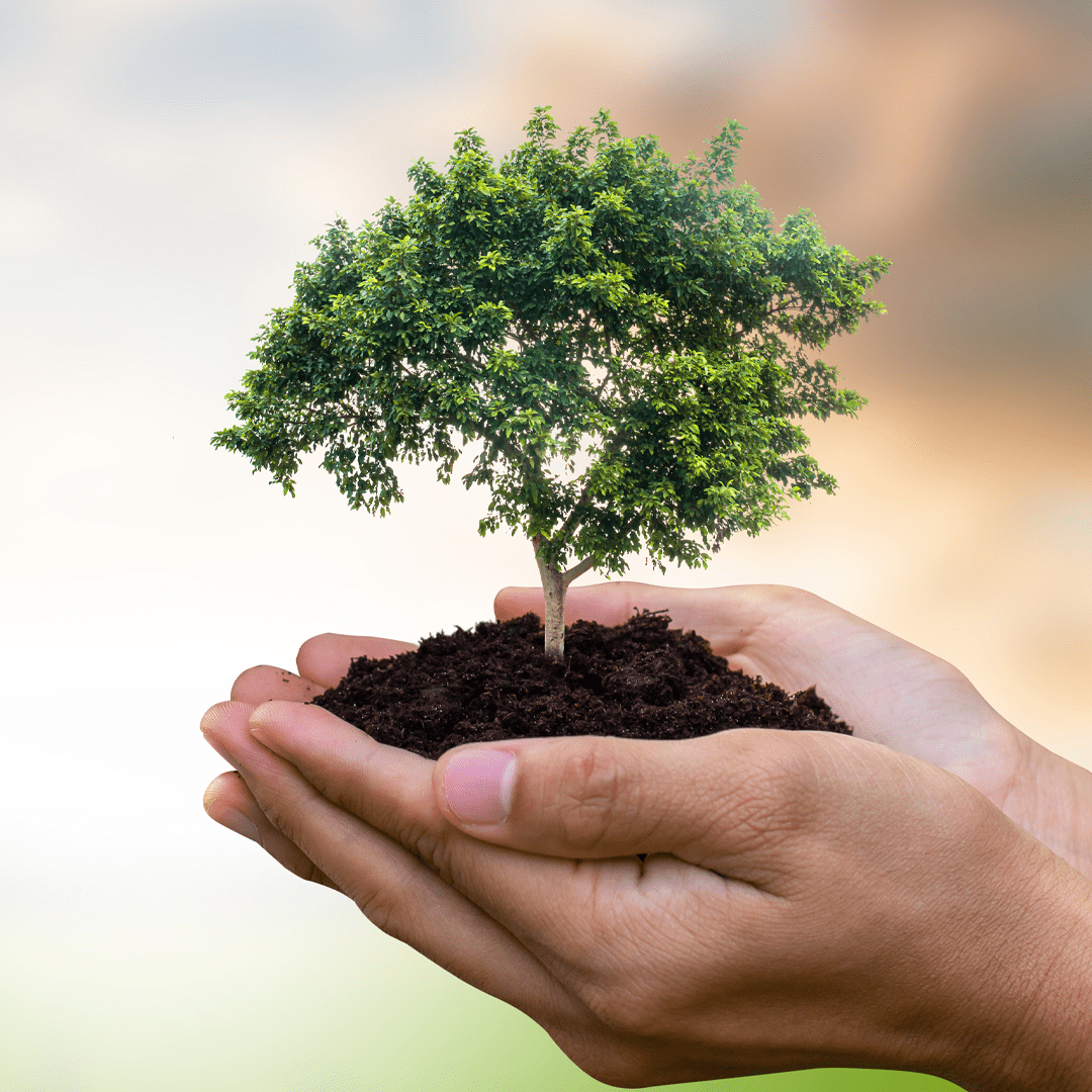Ações empresariais e individuais em prol da sustentabilidade